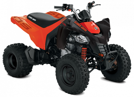 2022 Can-Am DS 250 Black/Can-Am Red