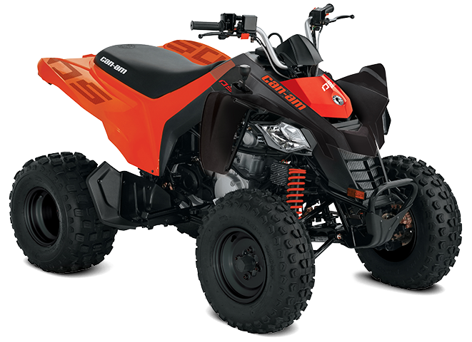 2023 Can-Am DS 250 Black/Can Am Red